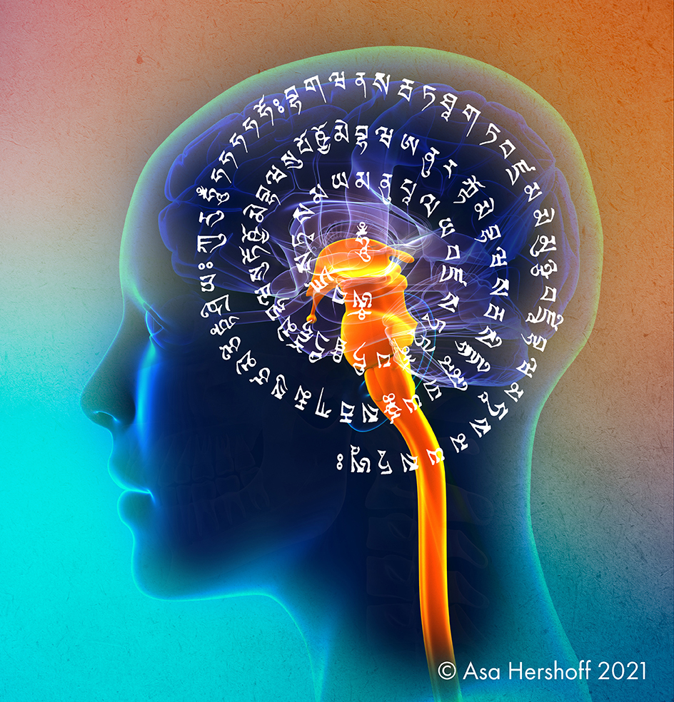Anatomía del cerebro de la médula espinal femenina - concepto azul